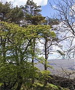 Filename=EMBR035.jpg
Filesize=1160KiB
Dimensions=3640x864
Date added=Jul 25, 2023 EMBR035.jpg